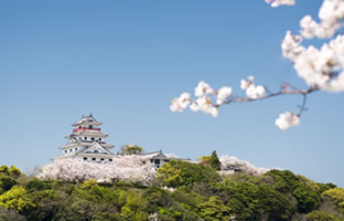 満島山・唐津城の画像