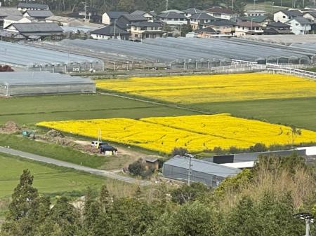 ポンポコ村村からも一望できます